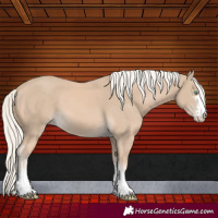 Horse Color:Cremello 