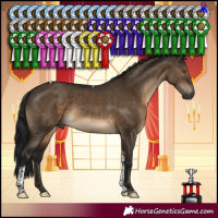 Horse Color:Gray Brown Dun Tobiano 