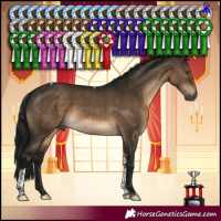 Horse Color:Gray Brown Dun Tobiano 