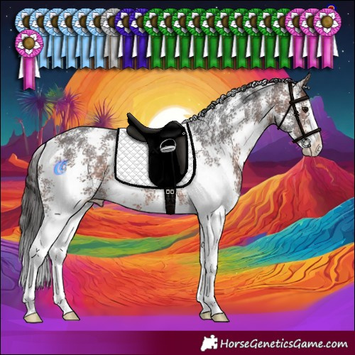 Horse Color:Bay Sabino Appaloosa 