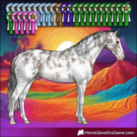Horse Color:Bay Sabino Varnish 
