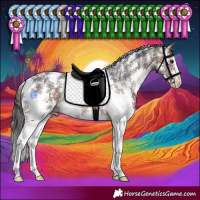 Horse Color:Bay Sabino Appaloosa