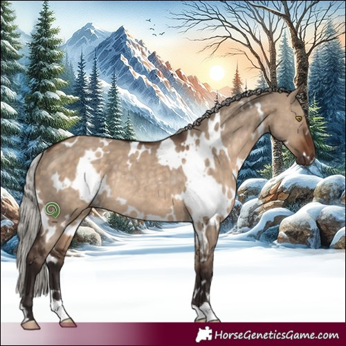 Horse Color:White Spotted Silver Brown Dun Rabicano 