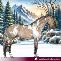 Horse Color:White Spotted Silver Brown Dun Rabicano 