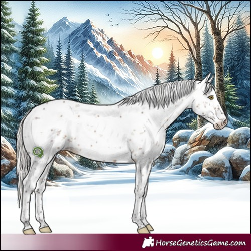 Horse Color:Silver Brown Dun Sabino Brindle 