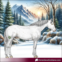 Horse Color:Silver Brown Dun Sabino Brindle 