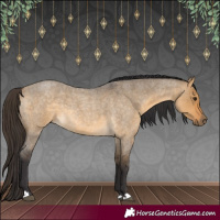 Horse Color:Buckskin Roan Dun 