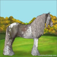 Horse Color:Silver Black Tobiano Rabicano 