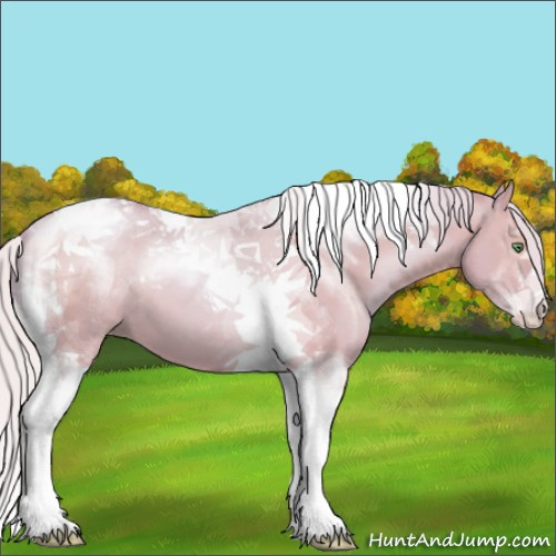 Horse Color:Watercolor Silver Grullo Pearl Tobiano 