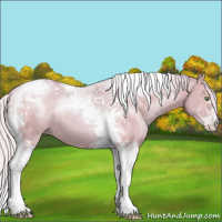 Horse Color:Watercolor Silver Grullo Pearl Tobiano 