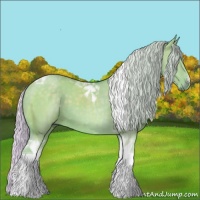 Horse Color:Watercolor Silver Grullo Tobiano 