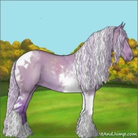Horse Color:Watercolor Silver Grullo Tobiano 