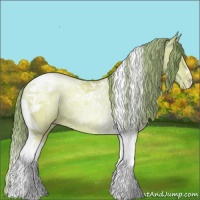 Horse Color:Watercolor Grullo Pearl Tobiano 