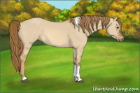 Horse Color:Red Dun Tobiano 