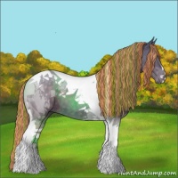 Horse Color:Painted Buckskin Tobiano