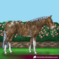 Horse Color:Painted White Spotted Silver Buckskin Ice Tobiano