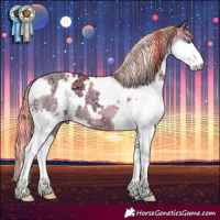 Horse Color:Painted White Spotted Sable Cream Champagne Ice Pearl Splash 