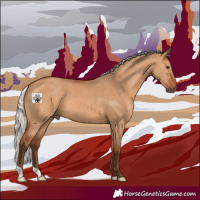 Horse Color:Silver Bay Dun 