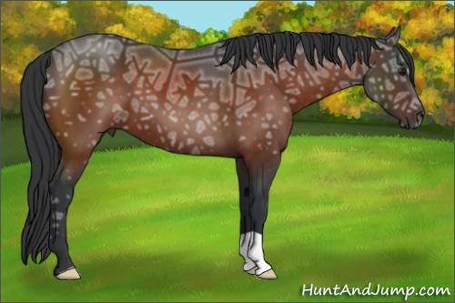 Horse Color:Brown Ice 