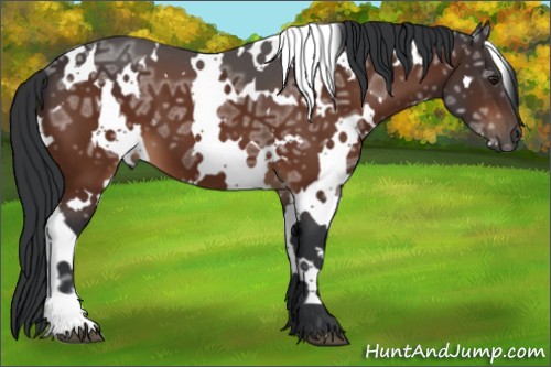 Horse Color:White Spotted Brown Ice 
