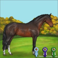 Horse Color:Brown Sabino 