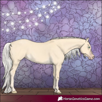 Horse Color:Silver Amber Cream Champagne Dun 