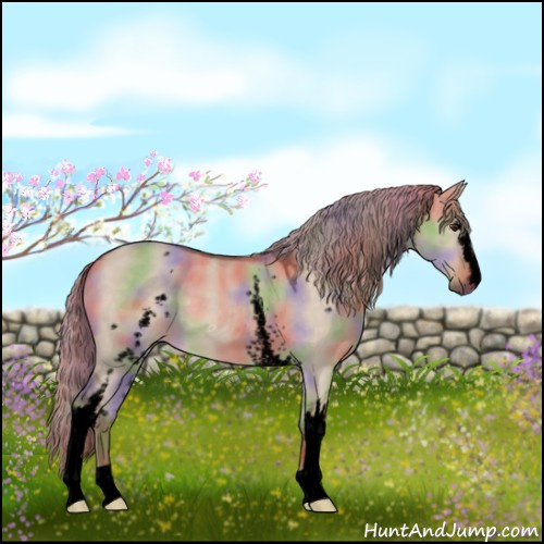 Horse Color:Void Nacre White Spotted Liver Red Dun 