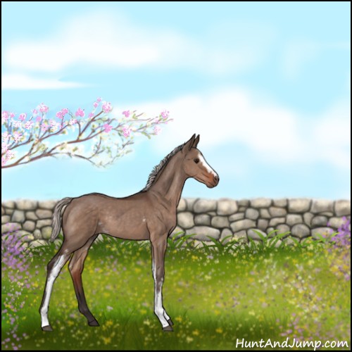 Horse Color:White Spotted Silver Brown Dun Rabicano 