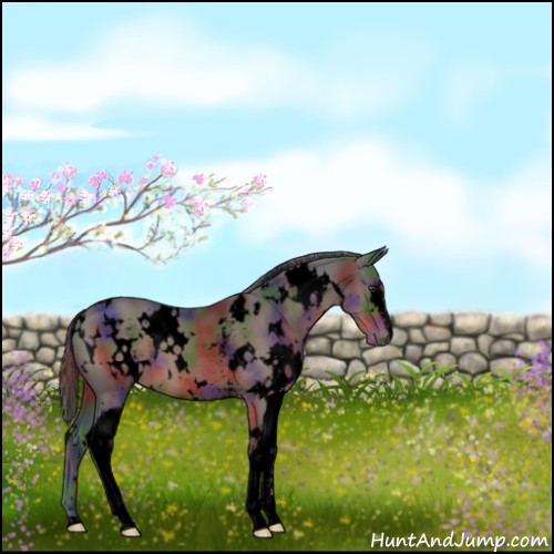 Horse Color:Void Nacre White Spotted Liver Chestnut 