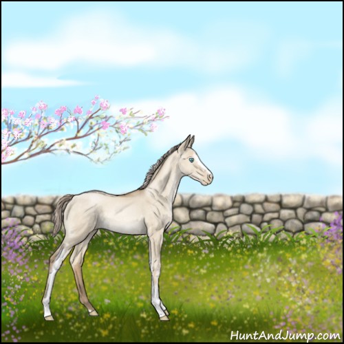 Horse Color:White Spotted Chocolate Palomino Pearl Dun Rabicano 