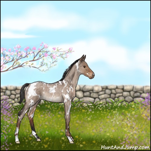 Horse Color:White Spotted Liver Red Dun Roan Rabicano 