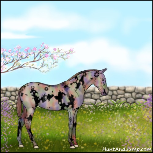 Horse Color:Void Nacre White Spotted Liver Red Dun 