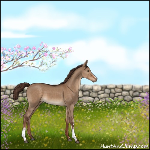 Horse Color:White Spotted Liver Red Dun 