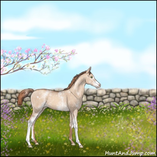 Horse Color:White Spotted Gold Champagne Dun 