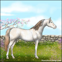 Horse Color:White Spotted Gold Champagne Pearl Dun Varnish 