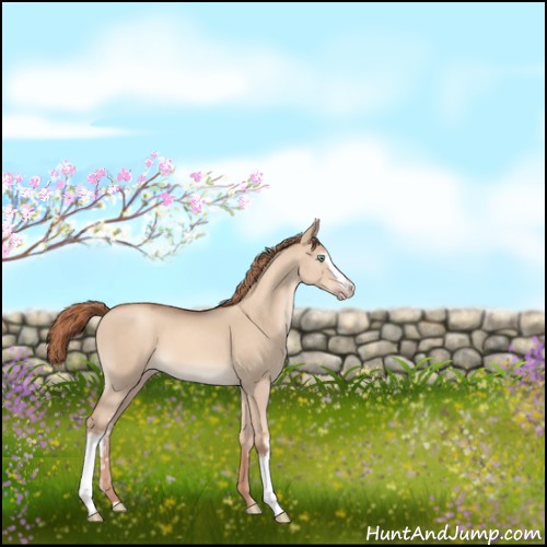 Horse Color:White Spotted Gold Champagne Dun 