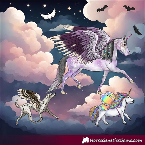 Horse Color:White Spotted Brown Dun