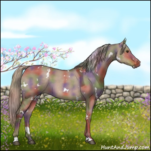 Horse Color:Nacre White Spotted Liver Red Dun 