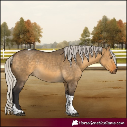 Horse Color:Silver Buckskin Dun Tobiano 