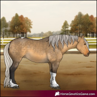 Horse Color:Silver Buckskin Dun Tobiano 