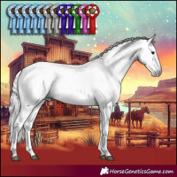 Horse Color:Gray White Spotted Silver Brown Appaloosa 