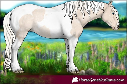 Horse Color:Cremello Mushroom Tobiano 