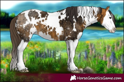 Horse Color:White Spotted Buckskin Ice Splash 