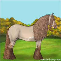 Horse Color:Red Dun Frame 