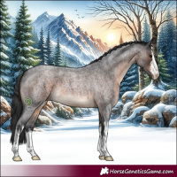 Horse Color:White Spotted Brown Roan 