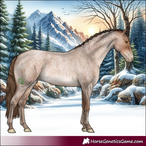 Horse Color:Brown Roan Pearl 