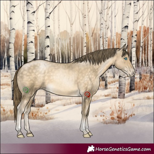 Horse Color:Buckskin Pearl Tobiano 