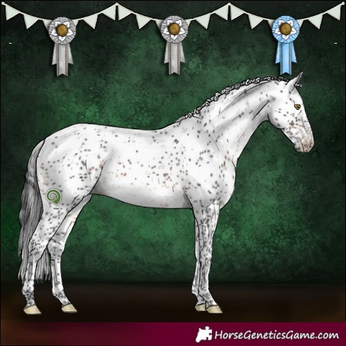Horse Color:Brown Sabino