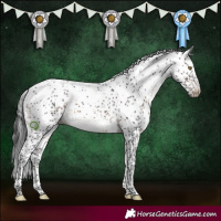 Horse Color:Brown Sabino 