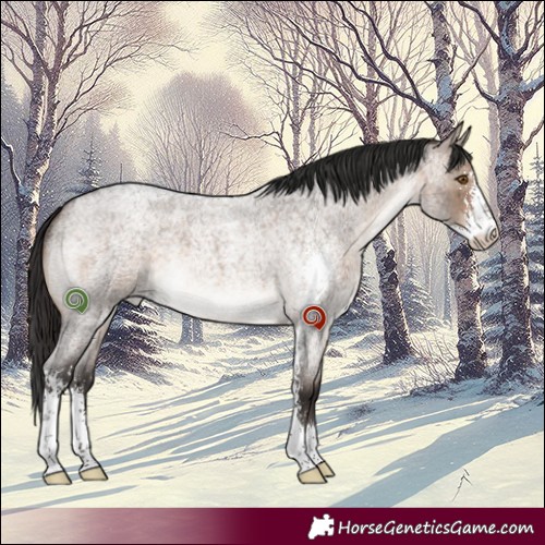 Horse Color:Brown Roan Dun Sabino Varnish 